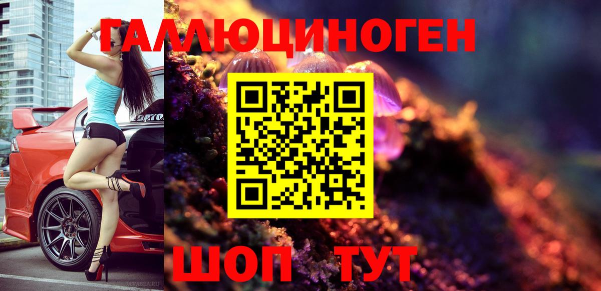 Каменск-Шахтинский  Псилоцибиновые грибы Magic Shrooms  как найти   Вход с VPN 